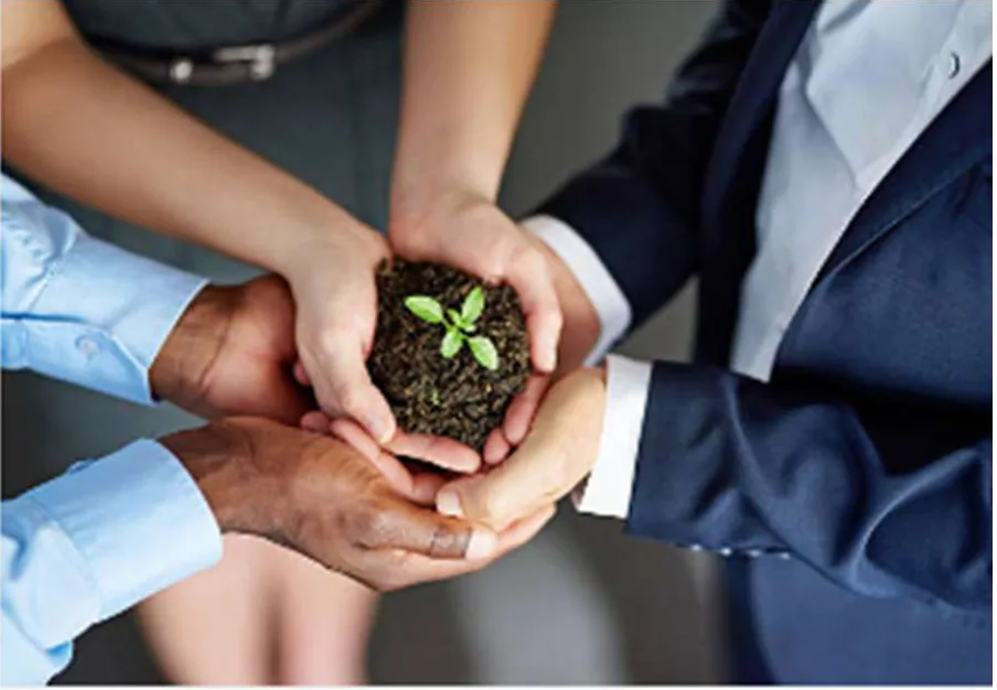 Equipo sosteniendo una planta como símbolo de sostenibilidad